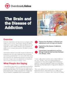 The Brain and the Disease of Addiction